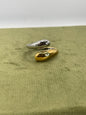 Anello DESY